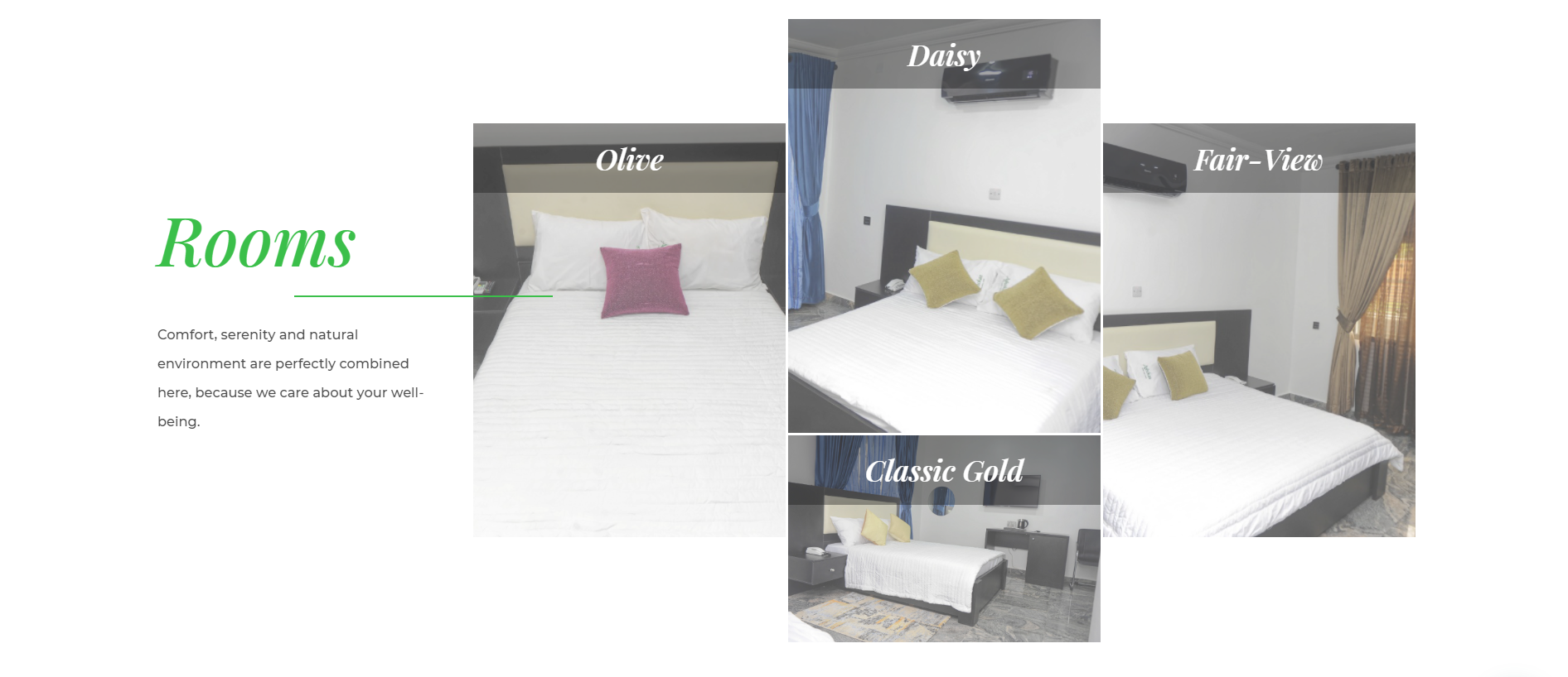 ashokashotel3